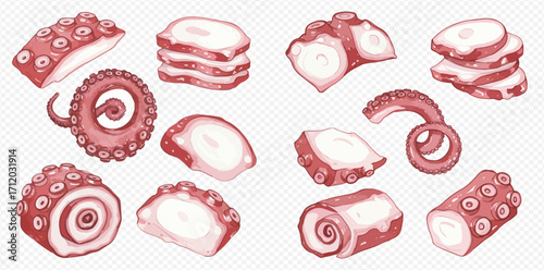 An illustrated collection of fresh octopus tentacles, cut and sliced in various ways for seafood cuisine.