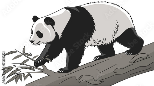 Giant Panda Bear on Tree Branch Eating Bamboo Leaves Illustration Cute Wildlife Animal Cartoon Black and White Graphic Design.