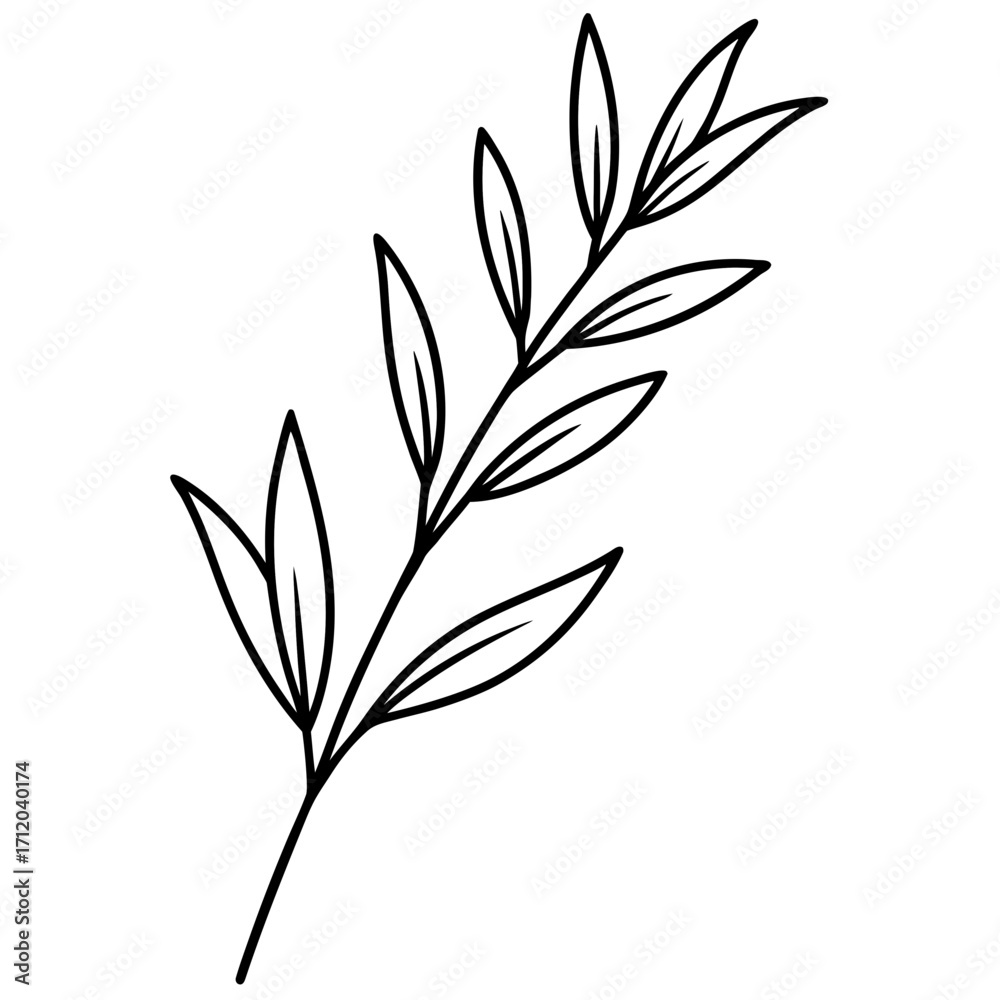 Fototapeta premium Herbal Twig Line Vector