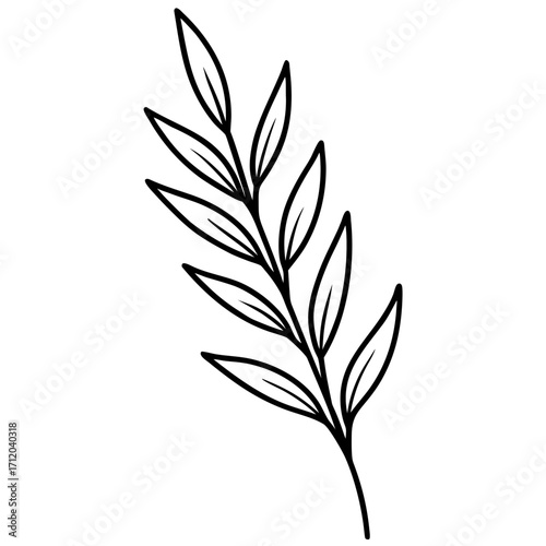 Herbal Twig Line Vector