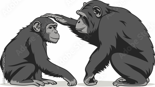 Two chimpanzees interacting one grooming the other primate affection black and white illustration.