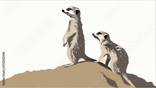 Two meerkats standing guard on a hill vigilant and alert wildlife illustration.