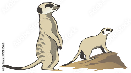 Two Meerkats Standing on a Hill Wildlife Illustration Vector Graphic.