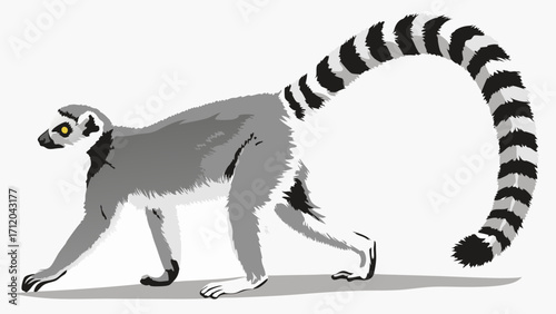 Ring-tailed Lemur Walking Grey and White Primate Wildlife Illustration Animal Vector Graphic.