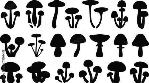 Black mushroom silhouette collection, various fungi shapes, isolated vector icons, natural forest elements, botanical design, edible and wild mushrooms illustration