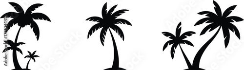 Palm tree silhouettes, tropical beach vector, coconut tree design, summer holiday illustration, exotic island landscape, vacation nature element, paradise concept