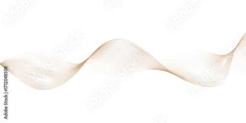 Abstract white background with a beautiful, single white lily blossom in a close-up macro shot. 