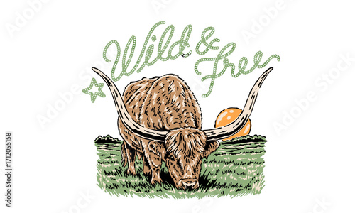 Vintage illustration of a Texas Longhorn bull in a field. Retro western artwork with Wild and Free quote for t shirt print