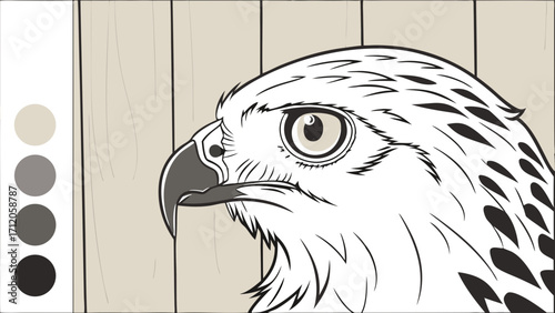 Falcon head profile bird of prey line art coloring page vector illustration wildlife animal portrait nature black and white graphic design fauna avian predatory bird eagle hawk fea.