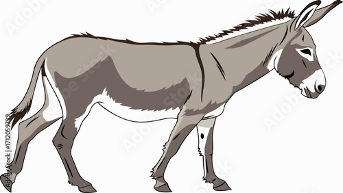 Gray Donkey Illustration Farm Animal Clipart Equine Graphic Side Profile Mammal Domestic Animal Cute Donkey Burro Ass Animal Cartoon Wildlife Illustration Equidae Grey Donkey Vector.