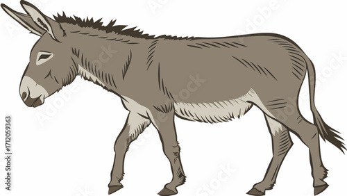Gray Donkey Walking Equine Animal Illustration Farm Animal Clipart Side View Cute Donkey Cartoon.