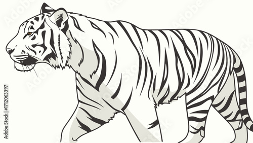 Walking White Tiger Stylized Line Art Illustration Wildlife Animal Design Big Cat Graphic Vector Illustration Black and White Wild Animal Art Nature Illustration Exotic Animal Image Jung.