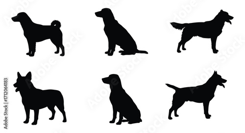 Silhouettes of various dog breeds displayed in a simple graphic arrangement