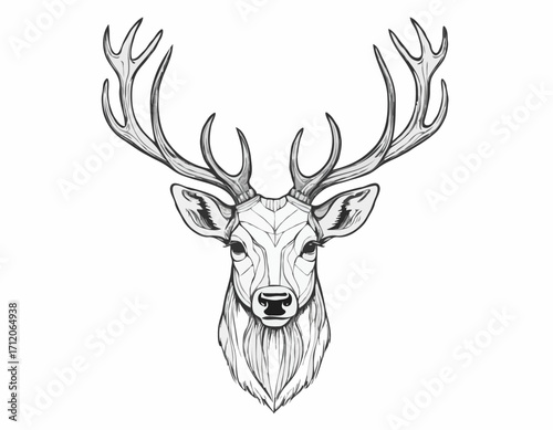 Stag deer head sketch vector graphics monochrome black-and-white drawing Vector illustration