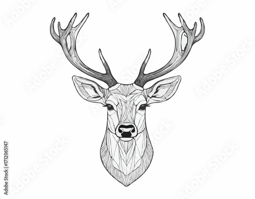 Stag deer head sketch vector graphics monochrome black-and-white drawing Vector illustration