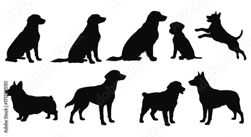 A collection of diverse dog silhouettes in a simple black and white style