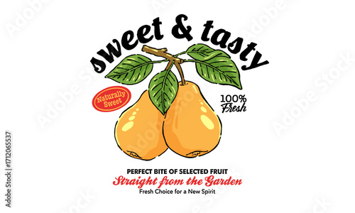 Vintage illustration of two fresh pears on a branch. Retro fruit artwork with Sweet and Tasty quote for t shirt print