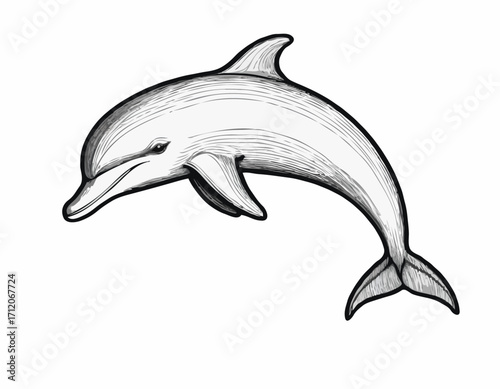 Cute dolphin sketch hand drawn engraving style Vector illustration
