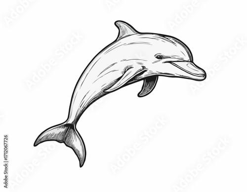 Cute dolphin sketch hand drawn engraving style Vector illustration