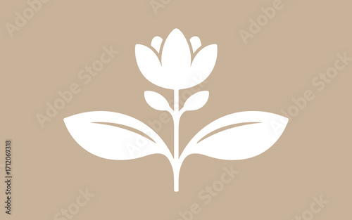 Stylized white tulip flower with leaves on a muted beige background