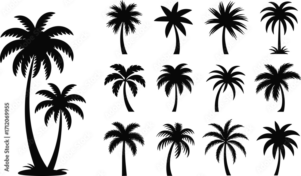 Fototapeta premium Palm Tree Silhouettes Collection Vector Set for Tropical Island, Summer Beach, Nature Design, Exotic Landscape and Jungle Decor