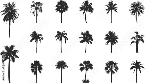 Collection of Tropical Palm Tree Silhouettes Vector Set for Beach Landscape, Nature Design Elements, Exotic Vacation and Summer Decor