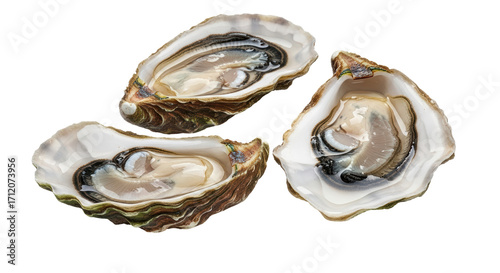 Fotografie Isolated trio of fresh open raw oysters on shells ready to eat, seafood appetize