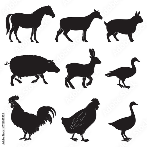 Animal vector, Animal design, Animal concept, Animal post, Animal cartoon, Animal icon, Animal template, Animal art, Animal topics, Animal doodle, Animal clipart