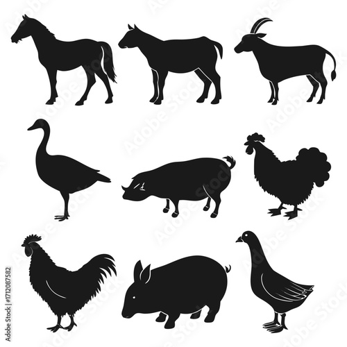 Animal vector, Animal design, Animal concept, Animal post, Animal cartoon, Animal icon, Animal template, Animal art, Animal topics, Animal doodle, Animal clipart