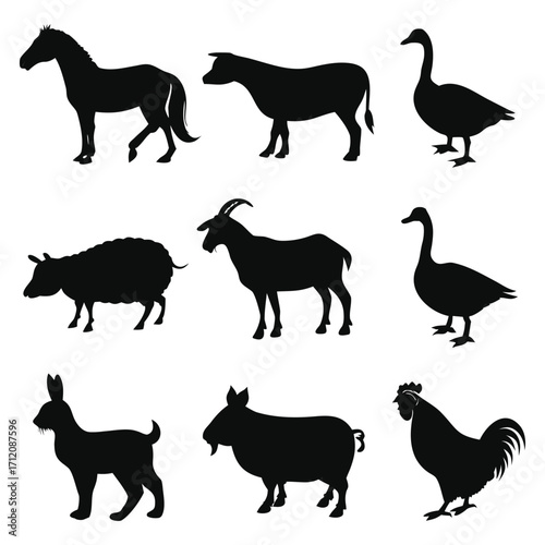 Animal vector, Animal design, Animal concept, Animal post, Animal cartoon, Animal icon, Animal template, Animal art, Animal topics, Animal doodle, Animal clipart