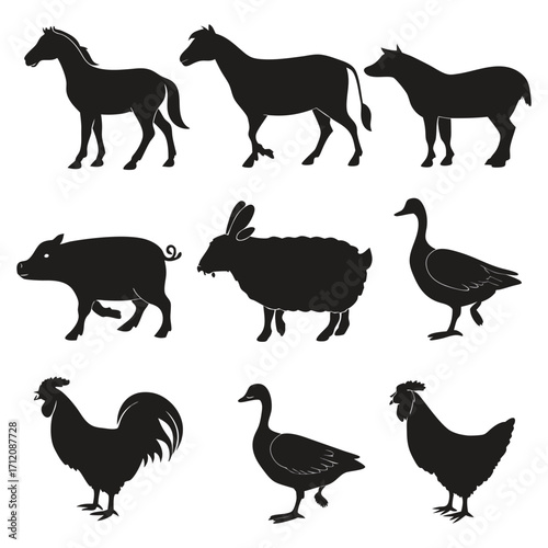 Animal vector, Animal design, Animal concept, Animal post, Animal cartoon, Animal icon, Animal template, Animal art, Animal topics, Animal doodle, Animal clipart