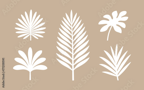 Collection of five stylized white tropical palm leaves on a muted beige background