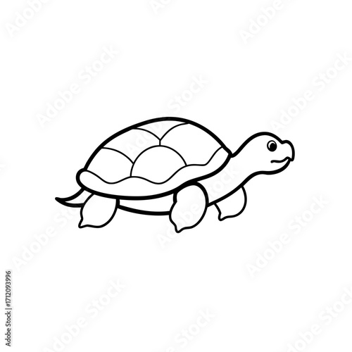 Simple outline drawing of a turtle animal on transparent background