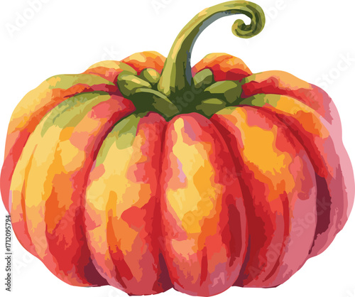 Vector watercolor painted illustration of an acorn squash