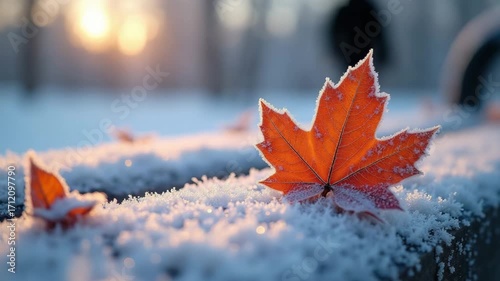 Frosted orange maple leaf creating a serene mood, symbolizing the first snow of winter against a magical sunrise background