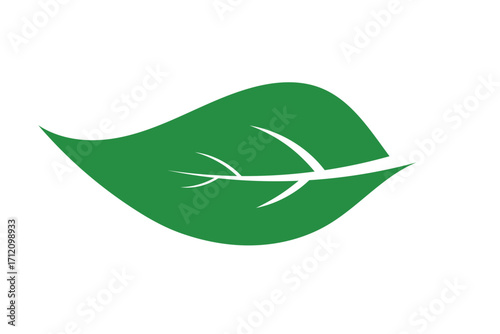 Green leaf silhouette with white vein detail on white vector transparent background cutout illutarstion
