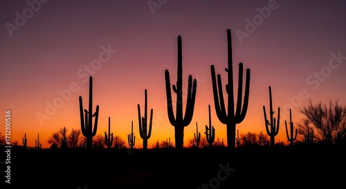 Desert Cacti Silhouette at Sunset