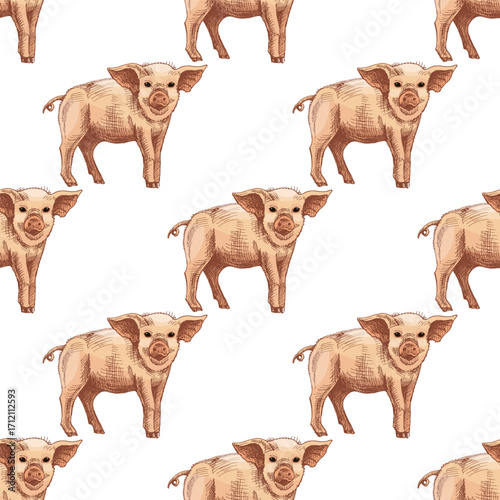 Hand drawn vintage seamless pattern of cute piglet farm animal in rustic countryside style, isolated vector illustration