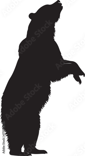 Powerful bear silhouette stands alert, sniffing air