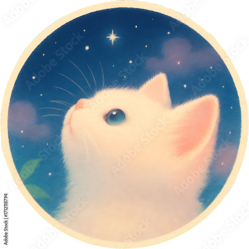 cat under starry night