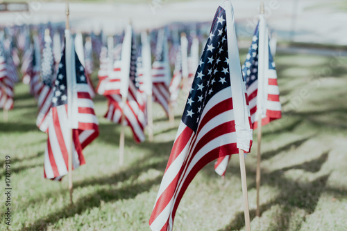 American flags planted in neat rows stretch across lawn near sidewalk, blurry residential houses, inviting quiet reflection from passersby in community centered 9/11 remembrance display, Texas