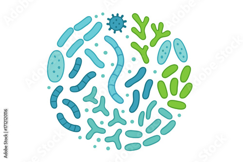 Probiotic bacteria gut microbiota set. Healthy prebiotic bacillus, lactobacillus, bifidobacteria. Gut flora and microbiome for digestive health. Microbiology vector illustration.