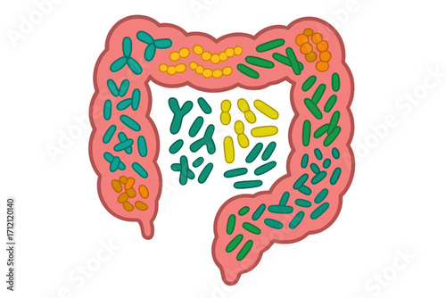 Gut microbiome and probiotics concept. Intestine with healthy bacteria pattern. Digestion, flora, prebiotic, bifidobacterium, lactobacillus, streptococcus vector icon.