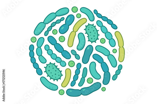 Probiotic bacteria circle composition vector illustration. Gut microbiota with healthy prebiotic bacillus. Lactobacillus, acidophilus, bifidobacteria. Digestion and gut health concept.