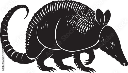 Armadillo silhouette walking, nature wildlife
