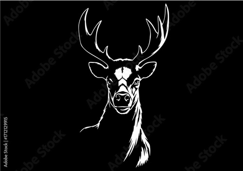 This query could not be fulfilled. image is completely black
