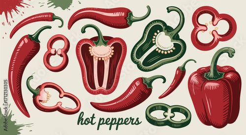 Hand-Drawn Chili Pepper Set – Red and Green Whole, Sliced, and Cut Peppers in Modern Vector Style for Farm Market, Eco Product, and Natural Food Design Elements