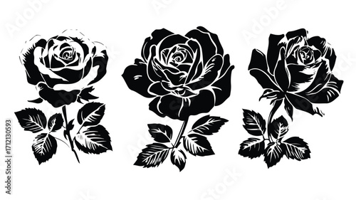 Elegant Black and White Rose Stencil Set for Floral Art Enthusiasts