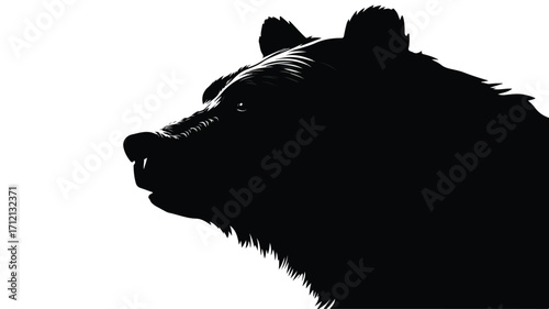Brave Bear Head Silhouette Isolated on White Background for Wildlife Designs