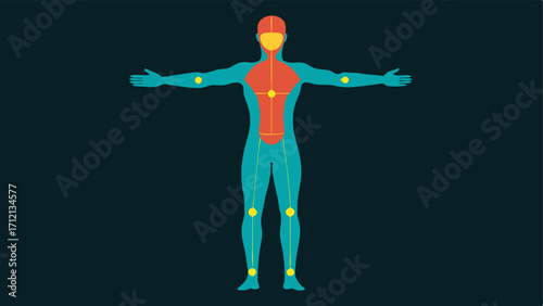 3D Body Mapping An illustration of a virtual model of a human body with highlighted areas showing progress in strength and flexibility gained through therapy.